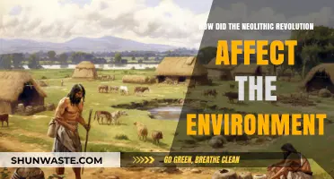 Neolithic Revolution's Environmental Impact: Transforming Landscapes and Ecosystems