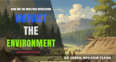 Neolithic Revolution's Environmental Transformation: Shaping Landscapes and Ecosystems