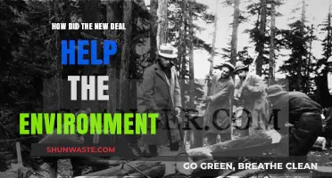 The New Deal's Green Legacy: Environmental Reforms and Conservation Efforts