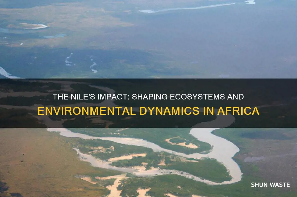how did the nile river affect the environment