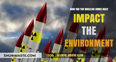 Nuclear Arms Race: Environmental Consequences and Long-Term Ecological Impacts