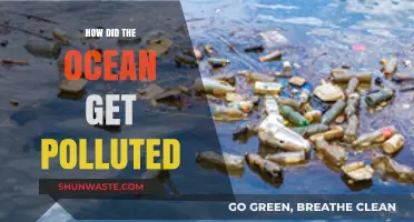 The Ocean's Pollution: A Human-Made Tragedy