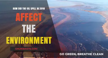 Devastating Impact: The 2010 Oil Spill's Environmental Consequences Explored