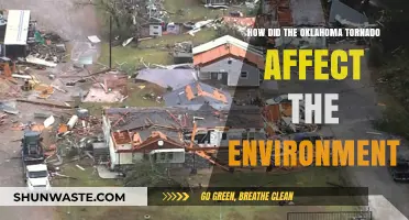 Oklahoma Tornado's Environmental Impact: Destruction, Recovery, and Long-Term Effects