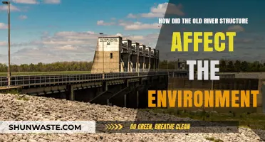 Old River Structures: Environmental Impacts and Ecosystem Changes Explored