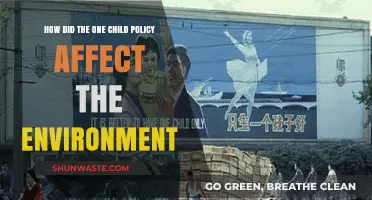 One Child Policy's Environmental Impact: A Comprehensive Analysis