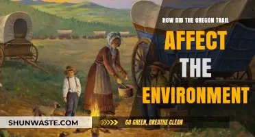 Oregon Trail's Environmental Impact: Shaping Landscapes and Ecosystems