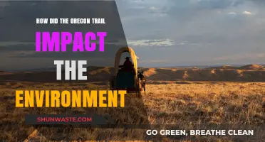Oregon Trail's Environmental Legacy: Shaping Landscapes and Ecosystems