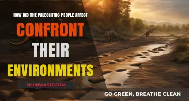 Paleolithic Survival Strategies: Adapting to Harsh Environments and Thriving