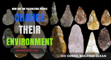 Paleolithic Impact: How Early Humans Transformed Their Natural Environment