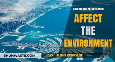 Palm Islands' Environmental Impact: A Comprehensive Analysis of Ecological Changes