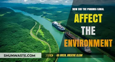 Panama Canal's Environmental Impact: A Comprehensive Analysis of Changes