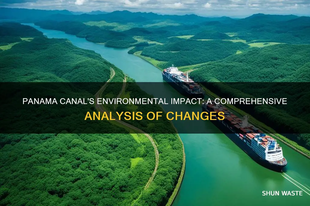 Panama Canal's Environmental Impact: A Comprehensive Analysis Of ...