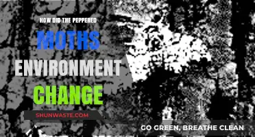 Industrial Revolution's Impact: How Peppered Moths Adapted to Environmental Changes