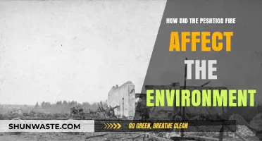 Peshtigo Fire's Environmental Impact: Devastation, Recovery, and Long-Term Effects