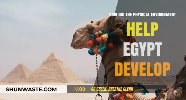 Nile's Gift: How Egypt's Geography Shaped Its Civilization