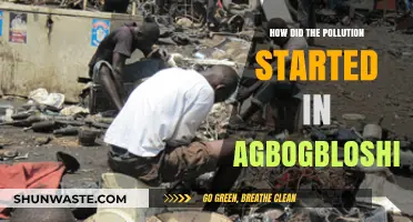 The Birth of Agbogbloshie's Pollution