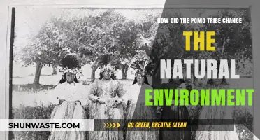 Pomo Tribe's Environmental Impact: Shaping the Natural World