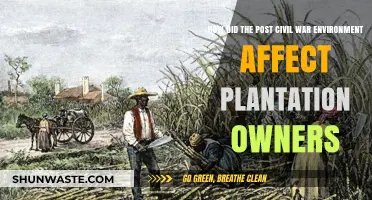 Post-Civil War Struggles: Plantation Owners' Economic and Social Decline