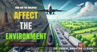 Railroads' Environmental Impact: Transforming Landscapes and Ecosystems
