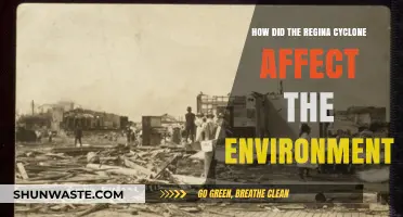 Regina Cyclone's Environmental Impact: Destruction, Recovery, and Long-Term Effects