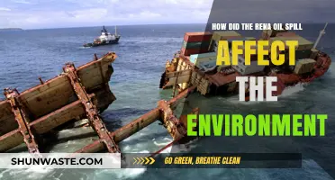 Rena Oil Spill: Environmental Impact and Long-Term Consequences Explored