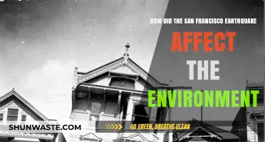San Francisco Earthquake's Environmental Impact: Shifts, Scars, and Recovery