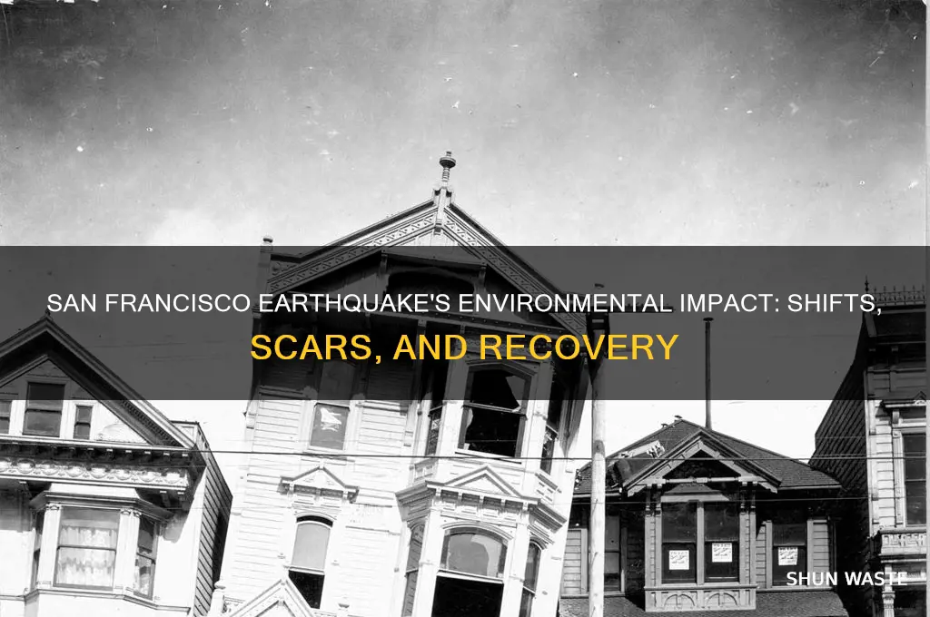 how did the san francisco earthquake affect the environment