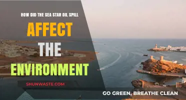 Sea Star Oil Spill: Environmental Impact and Ecosystem Recovery Challenges