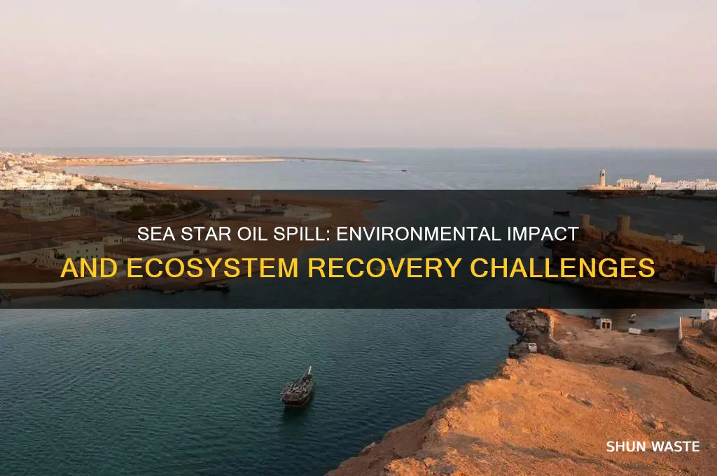 how did the sea star oil spill affect the environment