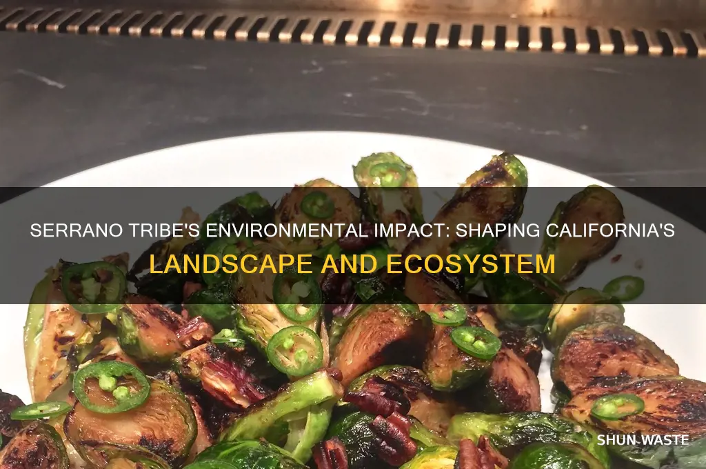 how did the serrano tribe change the environment
