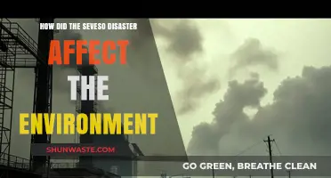 Seveso Disaster's Environmental Impact: Long-Term Consequences and Ecosystem Recovery