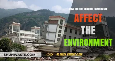 Shaanxi Earthquake's Environmental Impact: Devastation, Recovery, and Long-Term Effects