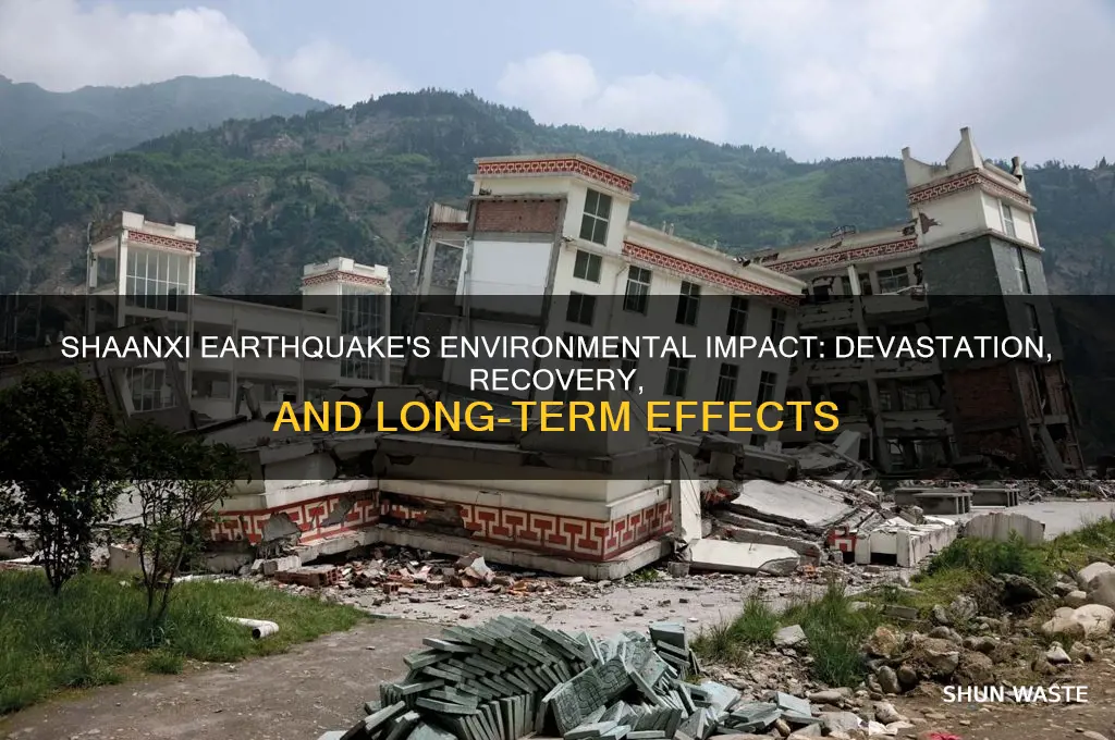 how did the shaanxi earthquake affect the environment