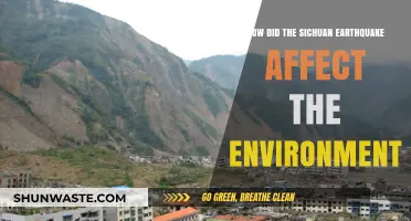 Sichuan Earthquake's Environmental Impact: Devastation, Recovery, and Long-Term Effects