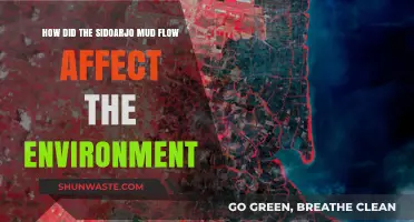 Sidoarjo Mud Flow: Environmental Impact and Long-Term Consequences