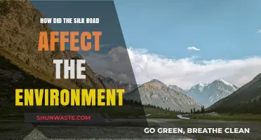 Silk Road's Environmental Impact: Trade, Ecology, and Historical Consequences