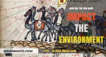 Silk Road's Environmental Legacy: Trade, Transformation, and Ecological Consequences
