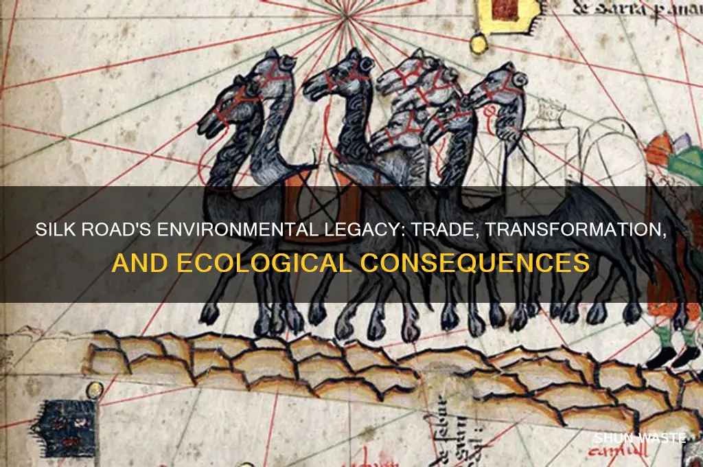 how did the silk road impact the environment