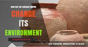 Songhai Empire's Environmental Transformation: Shaping Landscapes and Legacies