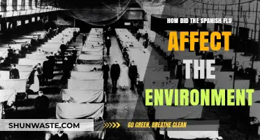 Spanish Flu's Environmental Impact: A Historical Analysis of Ecological Changes