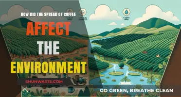 Coffee's Global Journey: Environmental Impacts and Sustainability Challenges