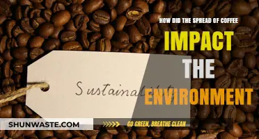 Coffee's Global Journey: Environmental Impacts of a Beloved Brew