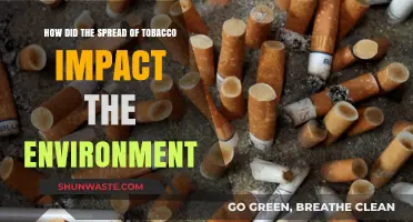 Tobacco's Environmental Toll: A Historical Overview of Its Ecological Impact