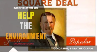 Square Deal's Environmental Legacy: Conservation Policies and Their Impact