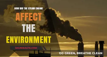 Steam Engine's Environmental Impact: Revolutionizing Industry, Transforming Ecosystems