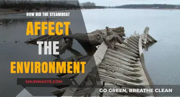 Steamboats' Environmental Impact: Pollution, Ecosystems, and Industrial Change