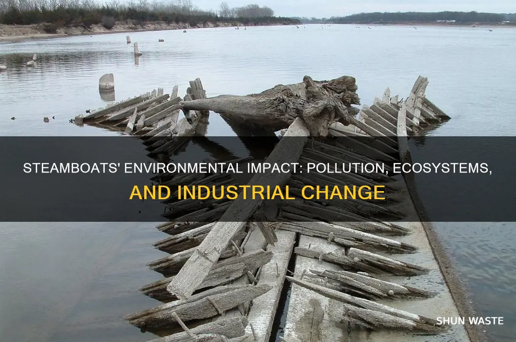 how did the steamboat affect the environment