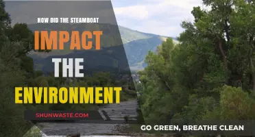 Steamboats' Environmental Legacy: Pollution, Habitat Disruption, and Ecosystem Changes