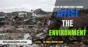 Sunda Strait Tsunami's Environmental Impact: Devastation, Recovery, and Lessons Learned